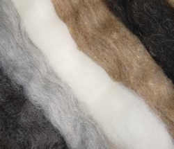 Mrchenwolle naturfarben, Haarwolle - Sortiment 100 g