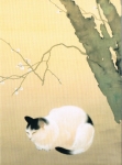 Hishida Shunso - Katze mit Pflaumenblten