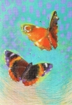 Loes Botmann - Spielende Schmetterlinge